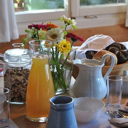 Grosszuegige Ferienwohnung Am Skigebiet Boedele Mit Rheintalblick Dornbirn Eksteriør bilde