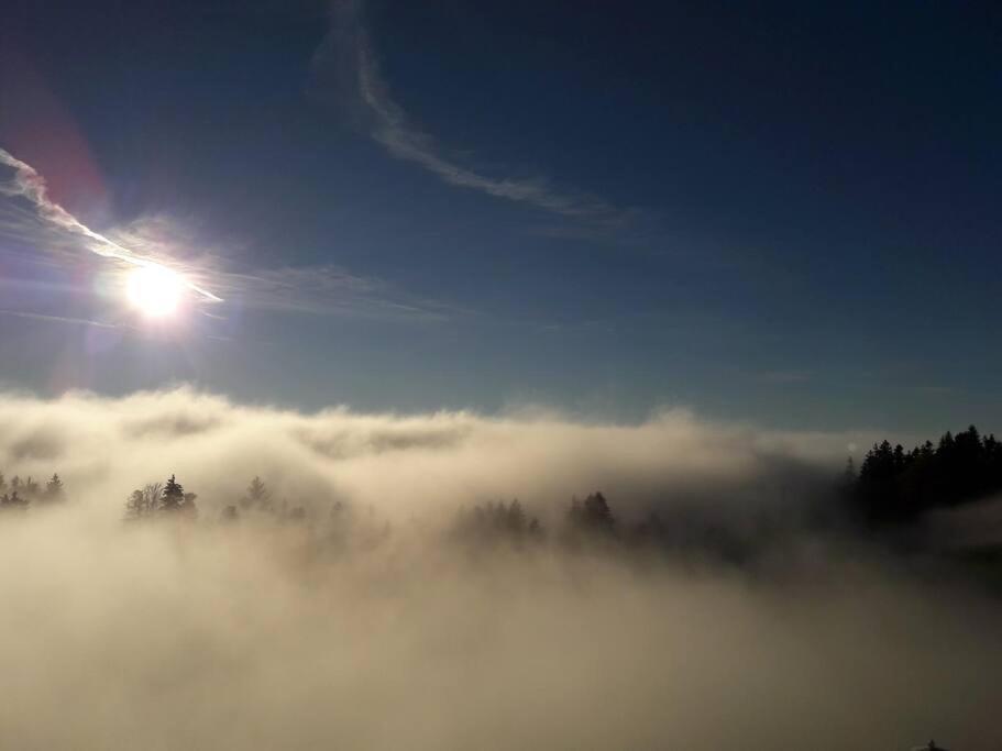 Grosszuegige Ferienwohnung Am Skigebiet Boedele Mit Rheintalblick Dornbirn Eksteriør bilde